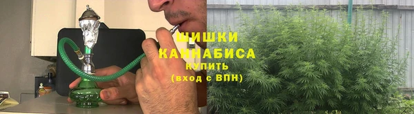 гидропоника Каменка