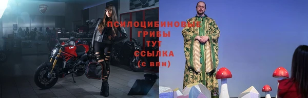 гидропоника Каменка