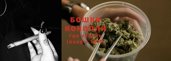 мяу мяу мука Каменногорск