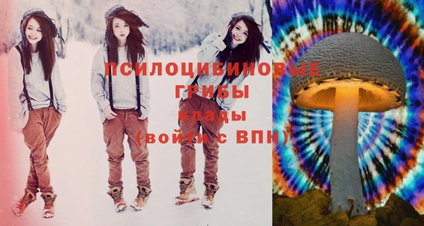 мяу мяу мука Каменногорск