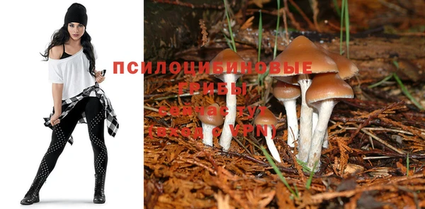 мяу мяу мука Каменногорск