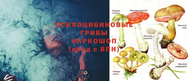 гидропоника Каменка